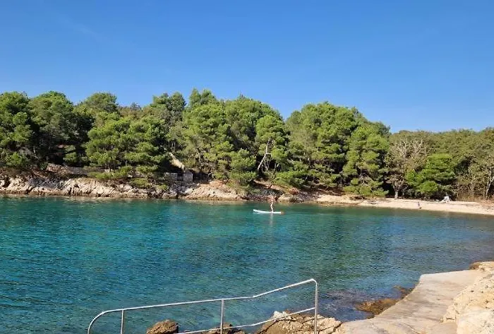 Luxury Five Stars With Pool, Near - By Traveler Tourist Agency Krk - Id 2140 Willa